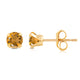 Load image into Gallery viewer, Jewelili 10K Yellow Gold 6 MM Round Shape Citrine Stud Earrings

